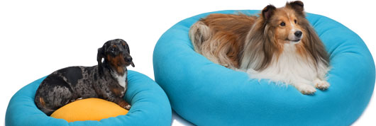Dachshund and Sheltie in Cozy Puff dog beds