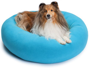 Sheltie on Cozy Puff dog bed